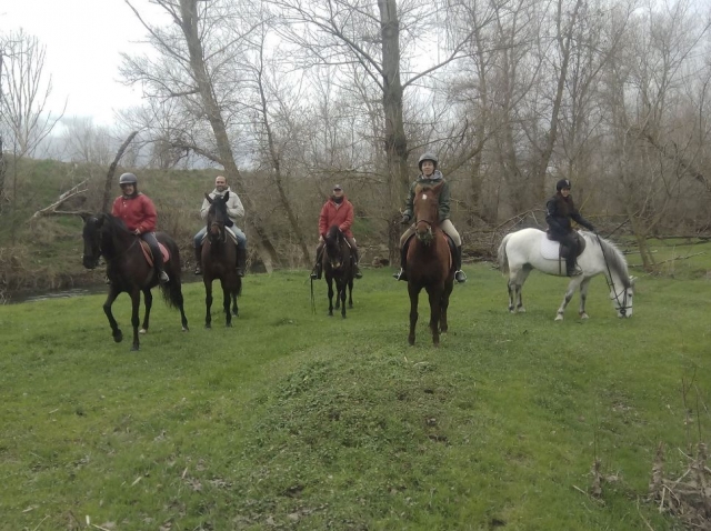  a quiet horseback ride 